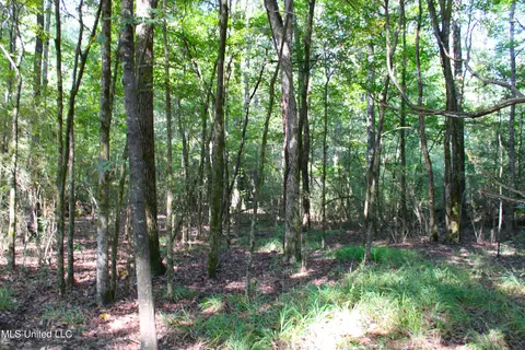 524 Davis Crossing Rd, Canton, MS 39046 photo 17