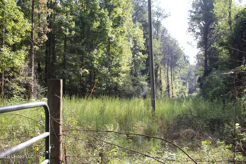 524 Davis Crossing Rd, Canton, MS 39046 photo 8