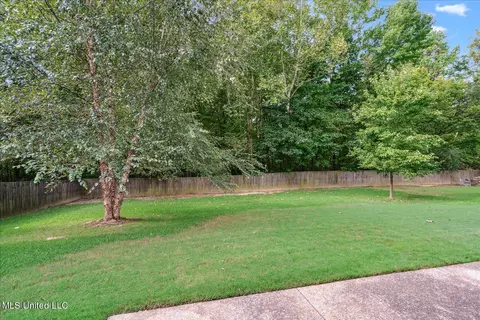 2425 Appleton Dr, Southaven, MS 38672 photo 36
