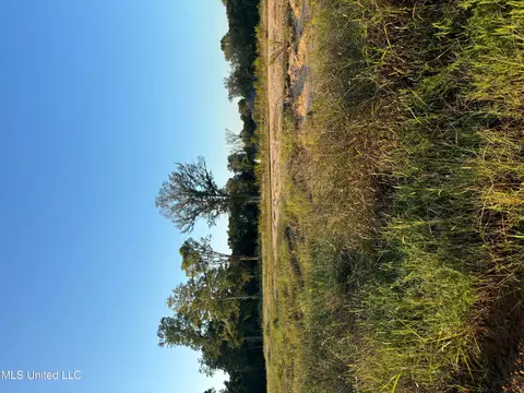 32 Pebble Ridge Dr, Byhalia, MS 38611