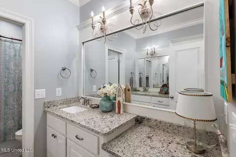 Bath - 211 Duchess Ct, Flowood, MS 39232 photo 3 of 4