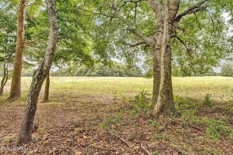 3433 Scott Road Rd, Hernando, MS 38632 photo 35