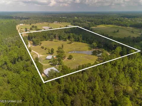 340 Will Lee Rd, Lumberton, MS 39455 photo 2