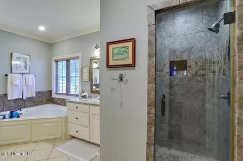 Bath - 824 Aberdeen Cv, Madison, MS 39110 photo 2 of 5