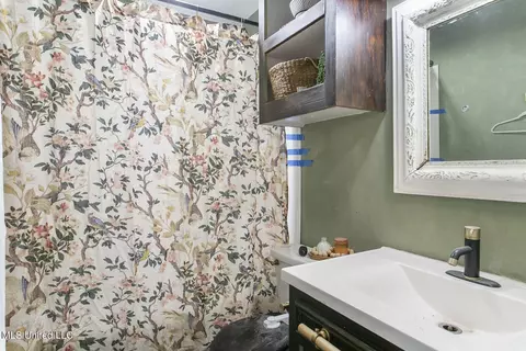 Bath - 452 Mockingbird Ln, Madison, MS 39110 photo 1 of 2