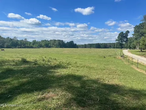 Other - 224 Coats Rd, Magee, MS 39111 photo 14 of 14