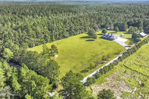 10186 Wire Rd, Vancleave, MS 39565 photo 48