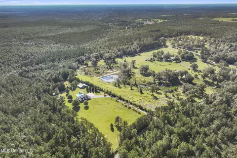 10186 Wire Rd, Vancleave, MS 39565 photo 46