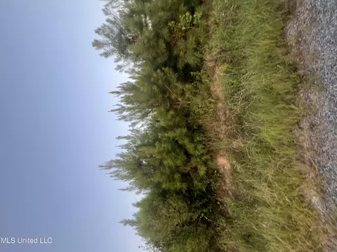 Leming Road, Braxton, MS 39044