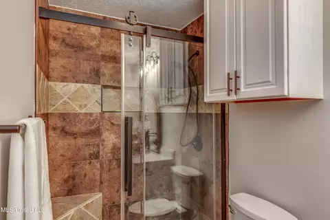 Bath - 92 Grandview Cir, Brandon, MS 39047 photo 5 of 10