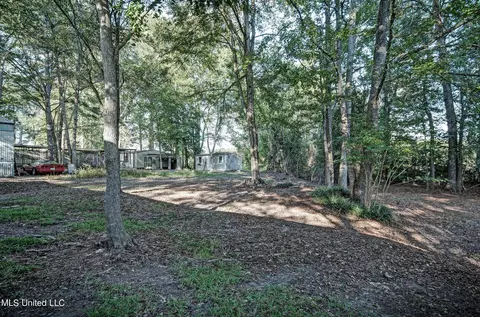 318 Lake Harbor Rd, Brandon, MS 39047 photo 4