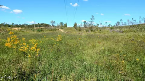 22302 7, Coffeeville, MS 38922