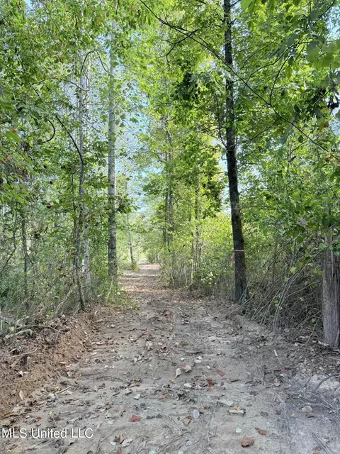 County Road 231, Mantee, MS 39751 photo 11