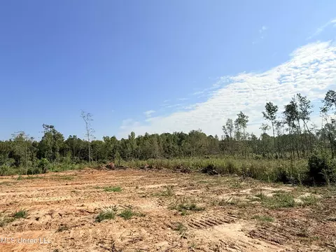 County Road 231, Mantee, MS 39751