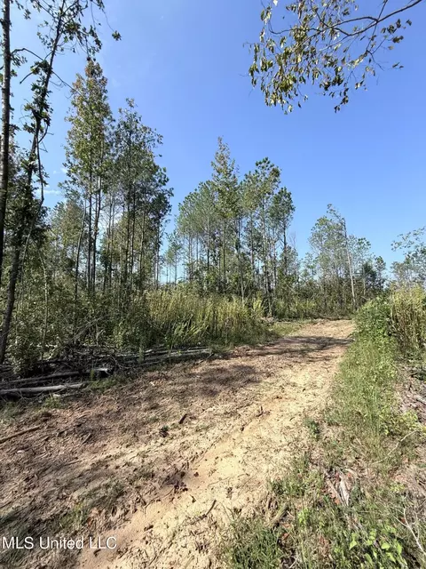 County Road 231, Mantee, MS 39751 photo 23