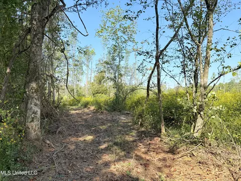 County Road 231, Mantee, MS 39751 photo 15