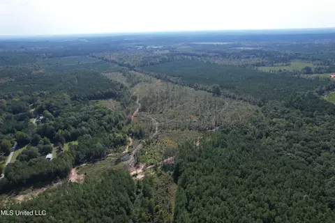 County Road 231, Mantee, MS 39751 photo 6