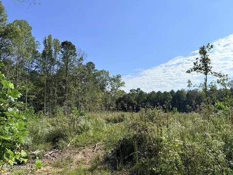 County Road 231, Mantee, MS 39751 photo 5