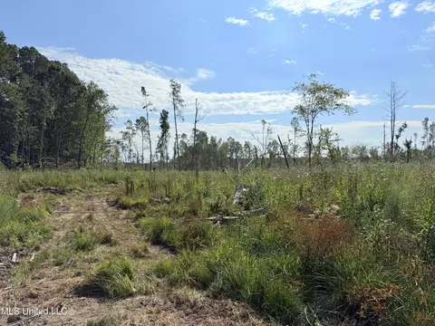 County Road 231, Mantee, MS 39751 photo 24