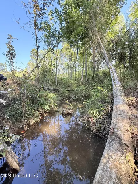 County Road 231, Mantee, MS 39751 photo 12