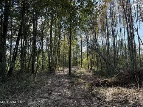 County Road 231, Mantee, MS 39751 photo 19