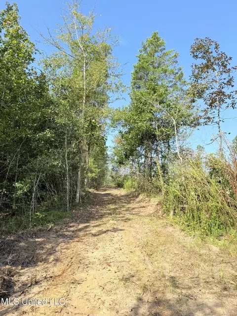 County Road 231, Mantee, MS 39751 photo 14