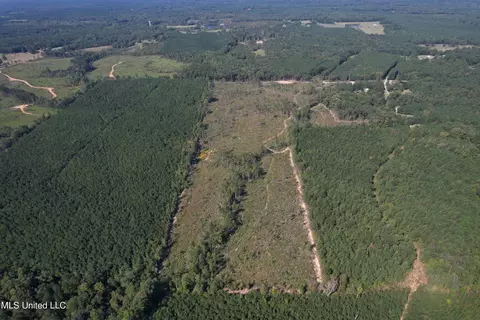 County Road 231, Mantee, MS 39751 photo 10
