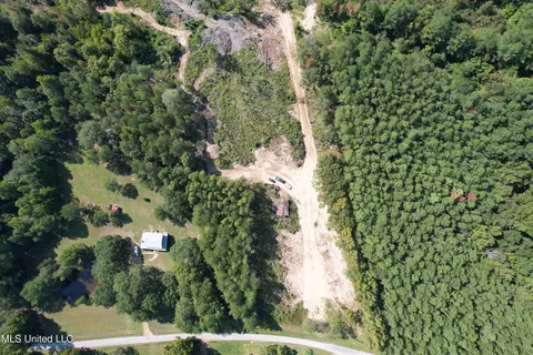 County Road 231, Mantee, MS 39751 photo 7