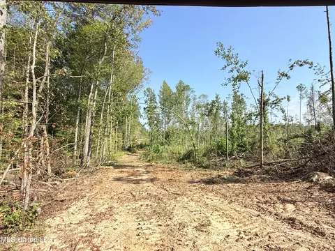County Road 231, Mantee, MS 39751 photo 18