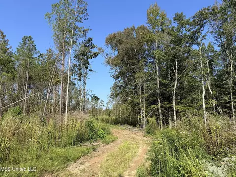County Road 231, Mantee, MS 39751 photo 4