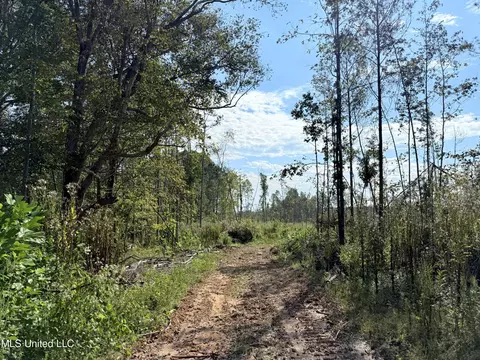 County Road 231, Mantee, MS 39751 photo 21
