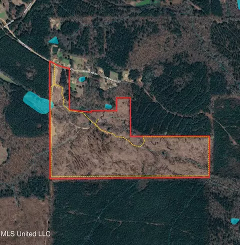 County Road 231, Mantee, MS 39751 photo 2