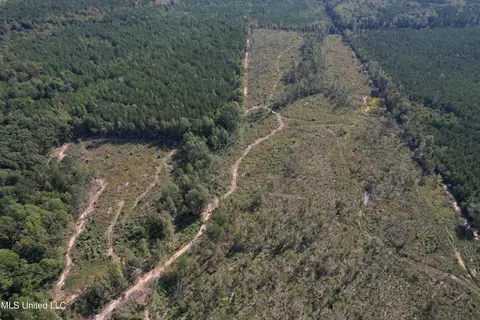 County Road 231, Mantee, MS 39751 photo 8