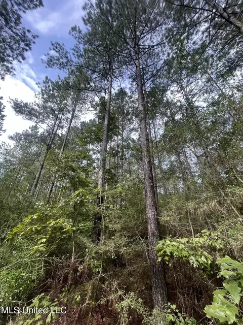 Hwy 568, Magnolia, MS 39652