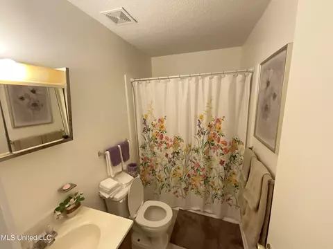 Bath - 845 Fulmer Rd, Como, MS 38619 photo 2 of 2