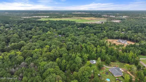 Guest Drive, Brandon, MS 39042 photo 10