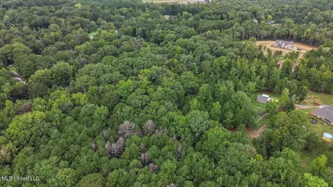 Guest Drive, Brandon, MS 39042 photo 11