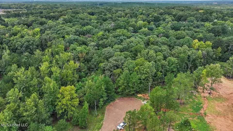 Guest Drive, Brandon, MS 39042 photo 23