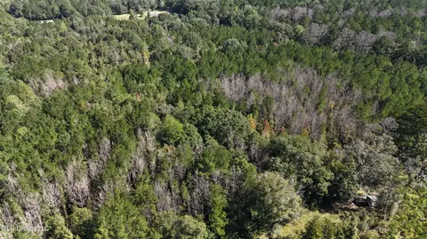 Van Zandt Rd, Braxton, MS 39044 photo 2