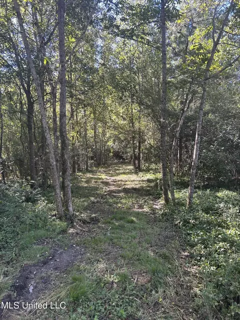 Van Zandt Rd, Braxton, MS 39044 photo 8