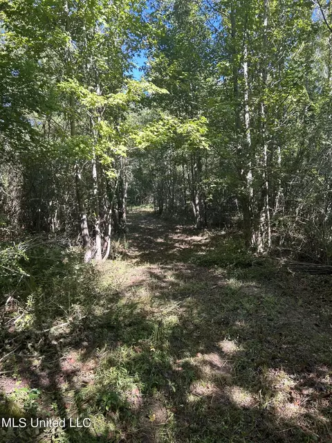 Van Zandt Rd, Braxton, MS 39044 photo 5