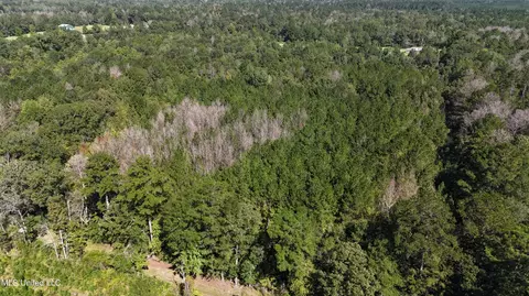 Van Zandt Rd, Braxton, MS 39044