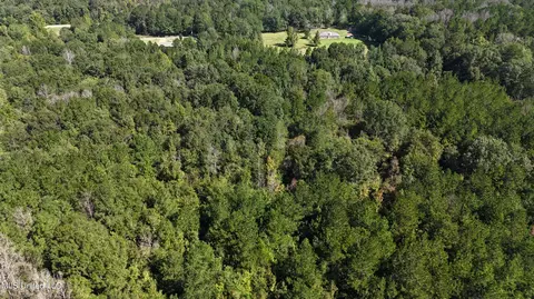 Van Zandt Rd, Braxton, MS 39044 photo 3