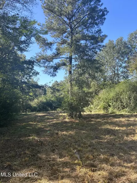 Van Zandt Rd, Braxton, MS 39044 photo 7