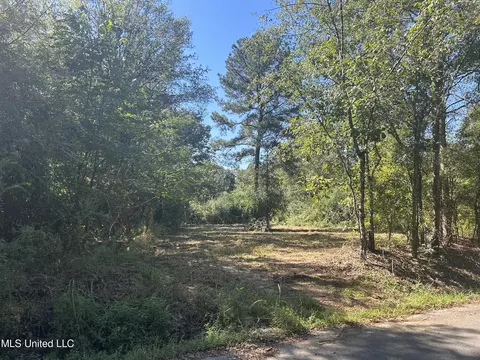 Van Zandt Rd, Braxton, MS 39044 photo 4