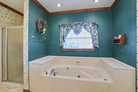 Bath - 117 Hall Dr, Brandon, MS 39042 photo 2 of 3