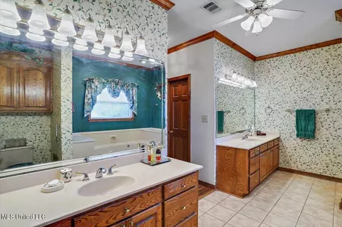Bath - 117 Hall Dr, Brandon, MS 39042 photo 1 of 3