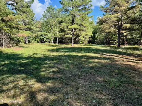 tbd Co Rd 300, Big Creek, MS 38914