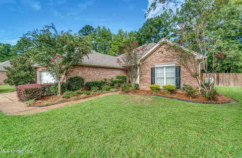 Exterior - 248 Terrace Dr, Brandon, MS 39042 photo 4 of 6