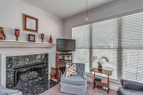 Living - 248 Terrace Dr, Brandon, MS 39042 photo 4 of 4